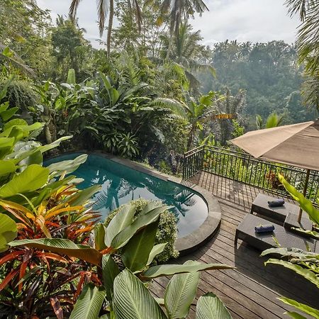Mandana Ubud Villa Zewnętrze zdjęcie