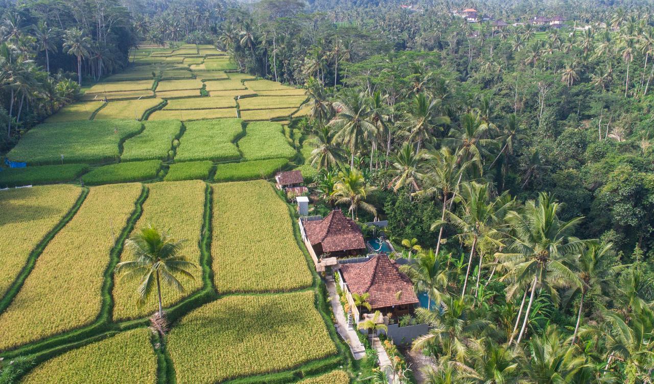 Mandana Ubud Villa Zewnętrze zdjęcie